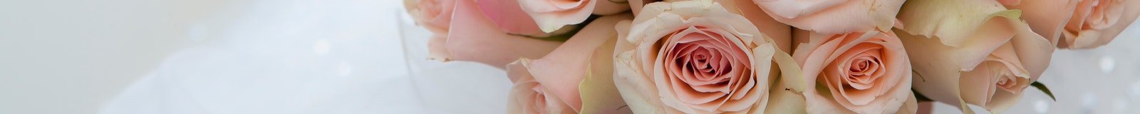 Canciones y coreograf&iacute;as para el primer baile de esposos